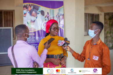 wan hive ghana – baobab entrepreneur (1)