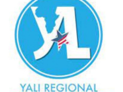 yali – baobab entrepreneur