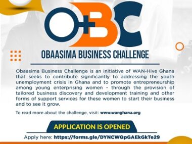 baoba entrepreneur – wan-hive