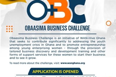 baoba entrepreneur – wan-hive