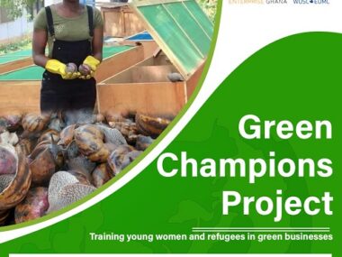 green champions project – baobab entreprenur