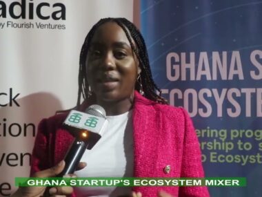 Ghana Startups Ecosystem Mixer Uniting Entrepreneurs for Powerful Conversations and Networking
