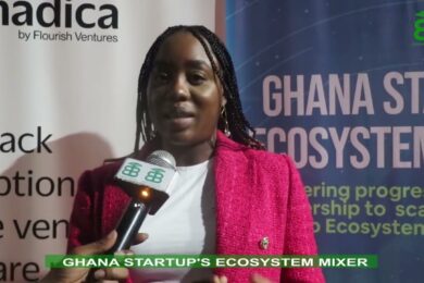 Ghana Startups Ecosystem Mixer Uniting Entrepreneurs for Powerful Conversations and Networking