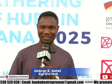 AgriCo Hub: Empowering Entrepreneurs Through Capacity-Building, Skill Training, and Funding in Ghana