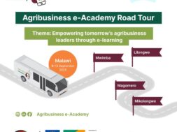 agribusiness giz