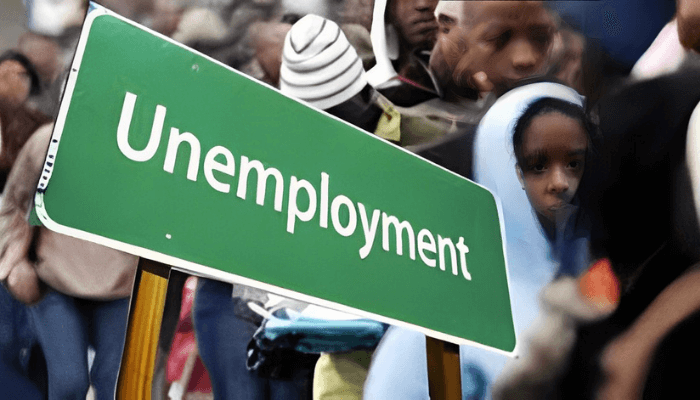 Youth Entrepreneurship and Unemployment Solutions in Africa