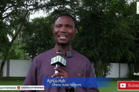 Entrepreneurship in Ghana: Agrico Hub’s Lessons for Startups and SMEs
