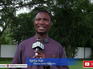 Entrepreneurship in Ghana: Agrico Hub’s Lessons for Startups and SMEs