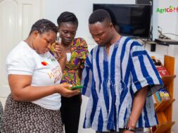 WhatsApp Image 2025-11-01 at 11.08.52 PM