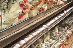 01eddd5c-e0ad-45c9-bda2-6e0dfdee1c4c