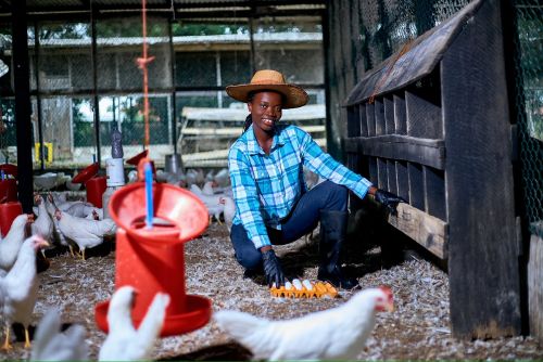 ACTIVATE Project: Transforming Agricultural TVET and Youth Employment in Ghana