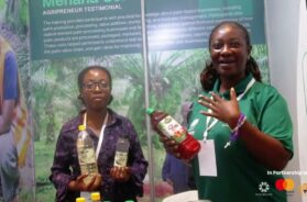 Menana Services: How an ACTIVATE Beneficiary Is Turning Palm Oil and Coconut Products into Business Opportunities in Ghana